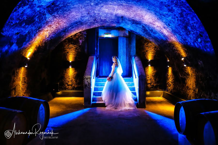 Fotografo di matrimoni Aleksander Regoršek (regorek). Foto del 22 maggio 2019