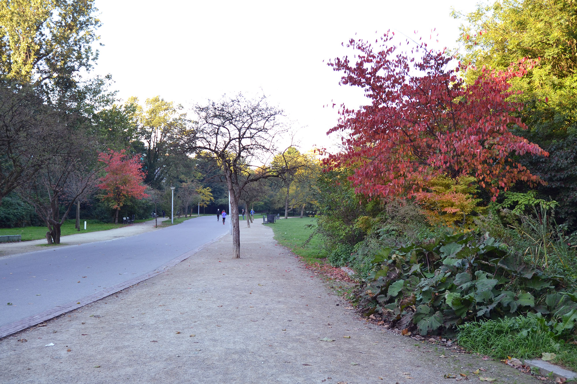 vondelpark  di sabrina arini