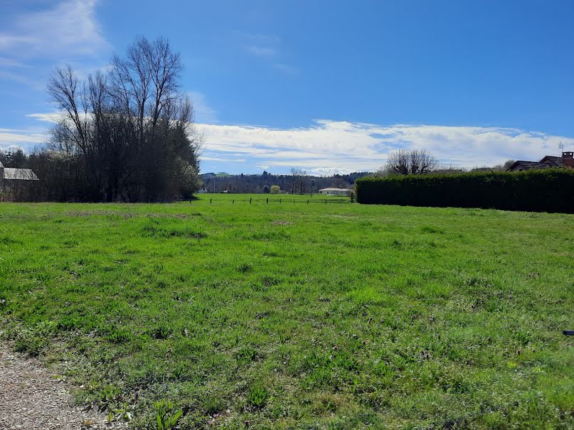 Vente terrain  1183 m² à Courpière (63120), 39 000 €