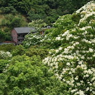 湖興土雞山莊 ▪ 茶藝館