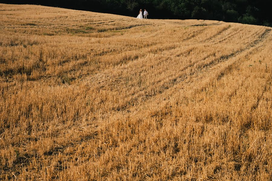 Fotograf ślubny Dries Lauwers (vormkrijger). Zdjęcie z 23 października 2017