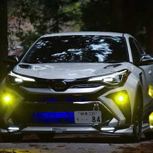 C-HR NGX50