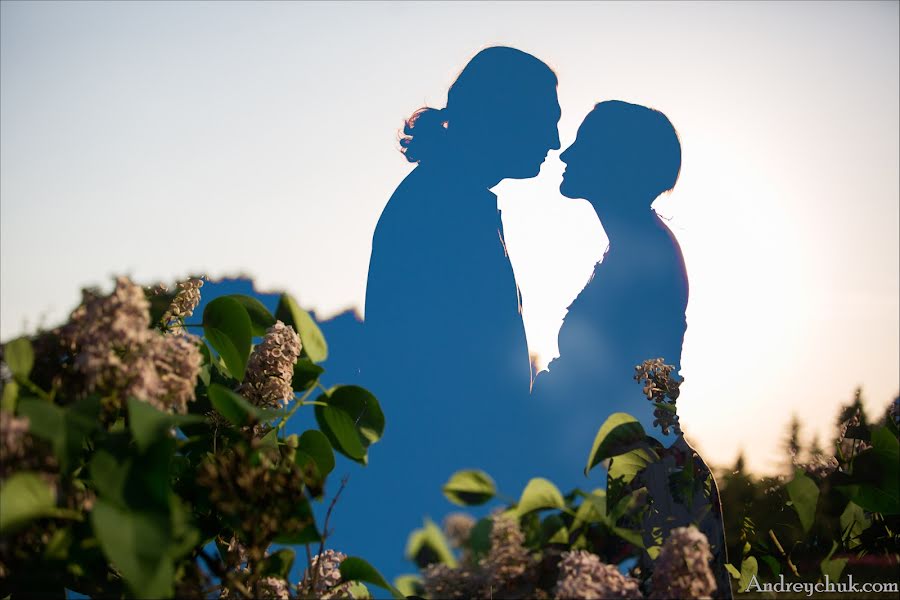 Photographe de mariage Tatyana Andreychuk (andrei4uk). Photo du 1 juin 2014