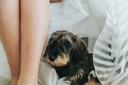 Wedding photographer Sérgio Ferreira (artesferaestudio). Photo of 14 August 2020