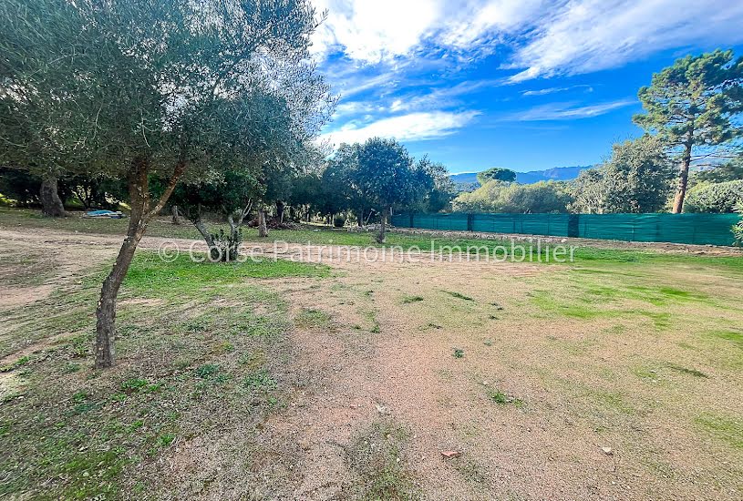  Vente Terrain à bâtir - 1 020m² à Sainte-Lucie-de-Porto-Vecchio (20144) 