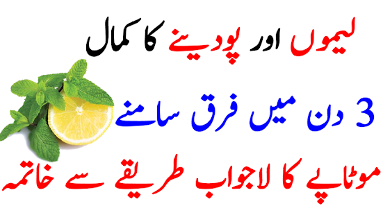 Lemon And Mint Water Best Weight Loss Drink New - náhled