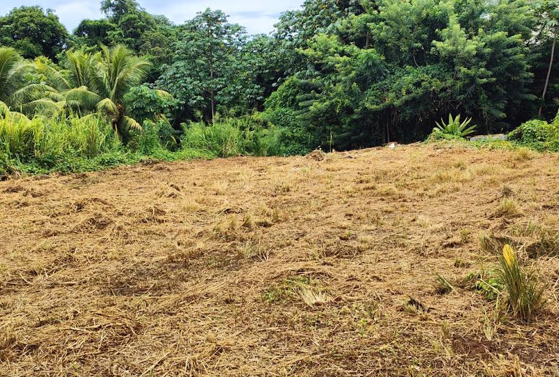  Vente Terrain à bâtir - à Le Lamentin (97232) 