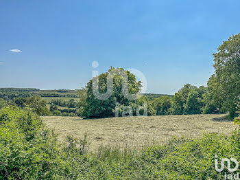 terrain à Pommeuse (77)