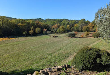 Vineyard with pool 5