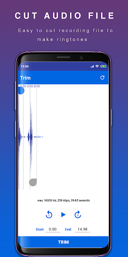 Screenshot Voice Recorder and Editor