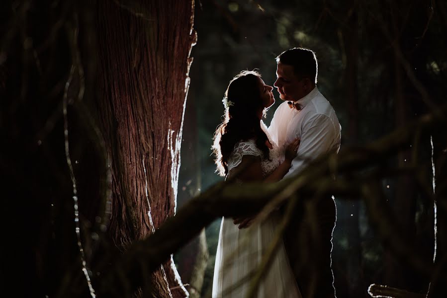 Wedding photographer Gábor Bolla (bollagabor). Photo of 8 February 2019