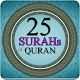 Download Last 25 Surah of Quran For PC Windows and Mac 1.0