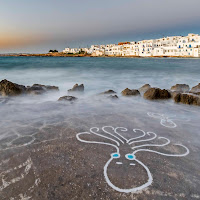 the octopus of Naousa in the morning di 