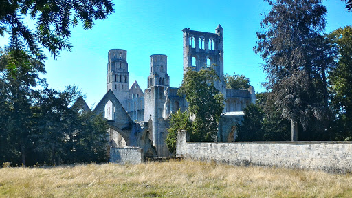 Abbaye De Jumières 