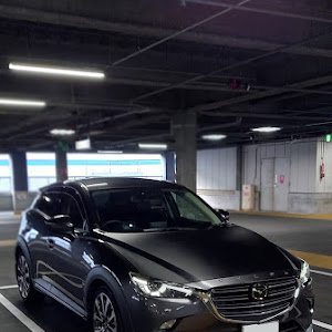 CX-3 DKEFW
