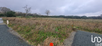 terrain à Loire-les-Marais (17)