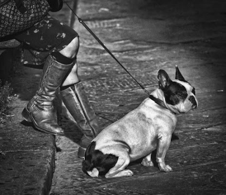 Ci vuol pazienza... di marco pardi photo