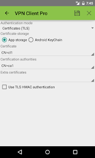 VPN Client Pro Screenshot