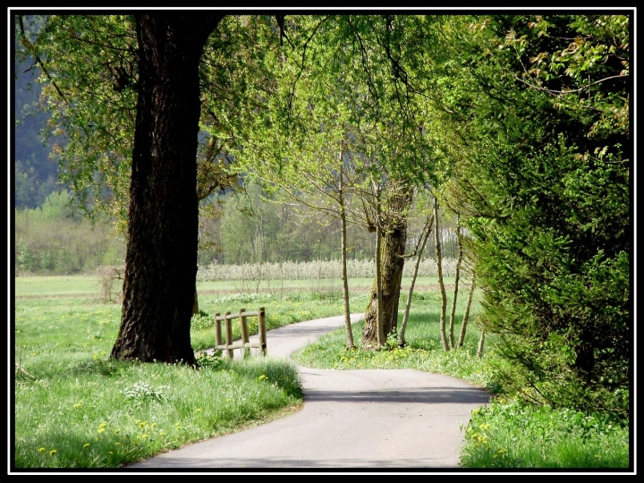 Un viaggio nella natura di Kvz89