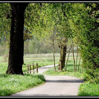 Un viaggio nella natura di 