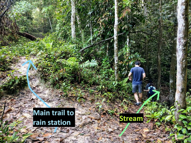 Bukit Kembara Rain Station Trail Hiking Guide