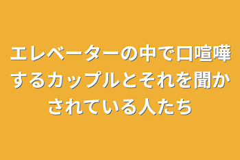 エレベーターの中で口喧嘩するカップルとそれを聞かされている人たち