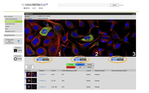 Open in ImageJ.JS