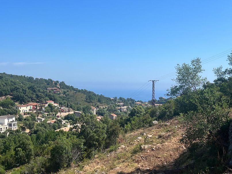 Vente terrain  12870 m² à Sari-Solenzara (20145), 1 127 000 €