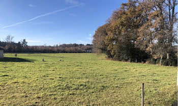 terrain à Correze (19)