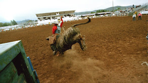 Car Crash, Flying Bull Rider thumbnail