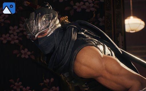 Ninja Gaiden Wallpaper New Tab screenshot 3
