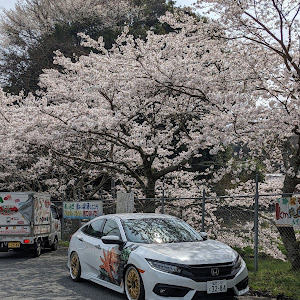 シビックセダン