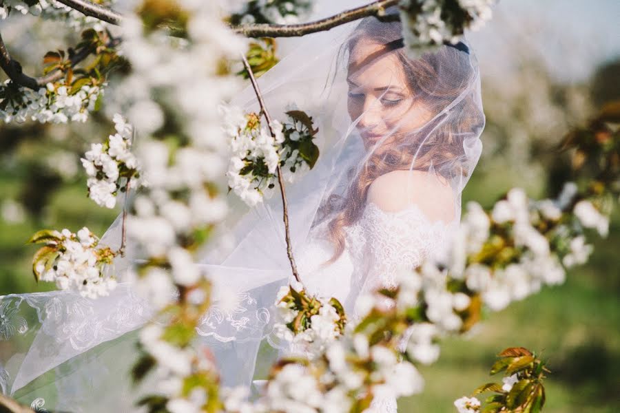 Fotografo di matrimoni Sergey Propiyalo (prolove). Foto del 17 agosto 2018