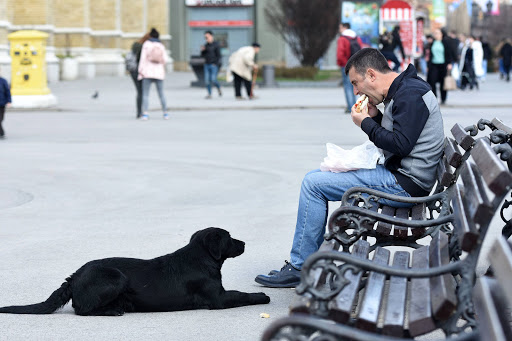 Danas oblačno, umereno s kišom, kasnije razvedravanje