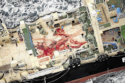 BLOOD TRAILS: The Japanese whaling vessel Nisshin Maru inside what Sea Shepherd Australia says is an internationally recognised whale sanctuary