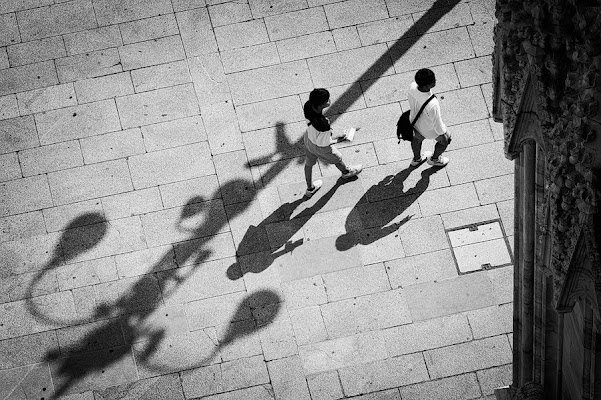 Dalla terrazza del duomo  di tognolia