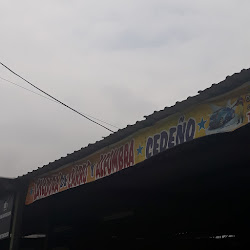 Lavadora de Carro y Alfombra Cedeño