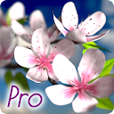 Spring Flowers 3D Parallax Pro on MyAppFree