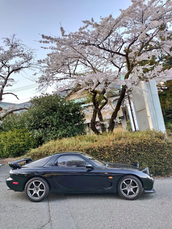 RX-7のRX-7・FD3S・峠ドライブ・頭文字D・さくら🌸に関するカスタム事例の投稿画像4枚目