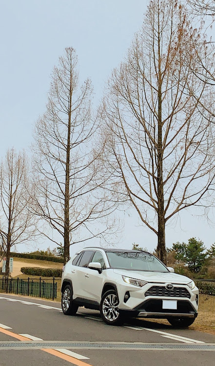 RAV4のドライブに関するカスタム事例の投稿画像2枚目