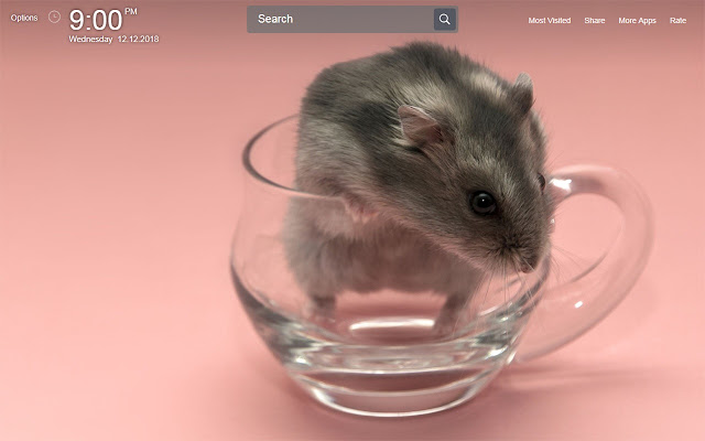 Hamster Wallpapers Theme New Tab