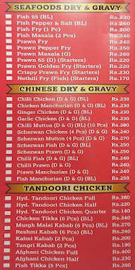 Hyderabadi Biryani Corner menu 2