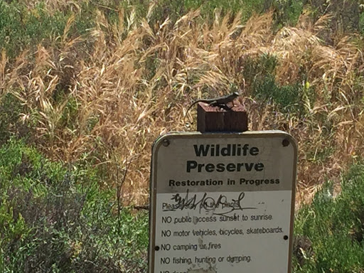 Wildlife Preserve