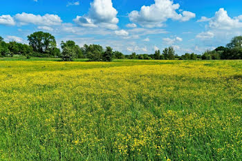 terrain à Chavagne (35)