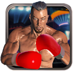 Real 3D Boxing Punch Apk