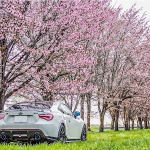 BRZ ZC6