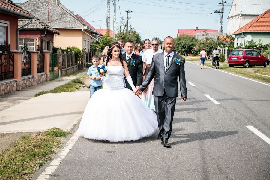 Fotógrafo de casamento Csaba Zelenák (csabazelenak). Foto de 25 de fevereiro 2019