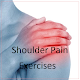 Shoulder Pain Exercises Download on Windows