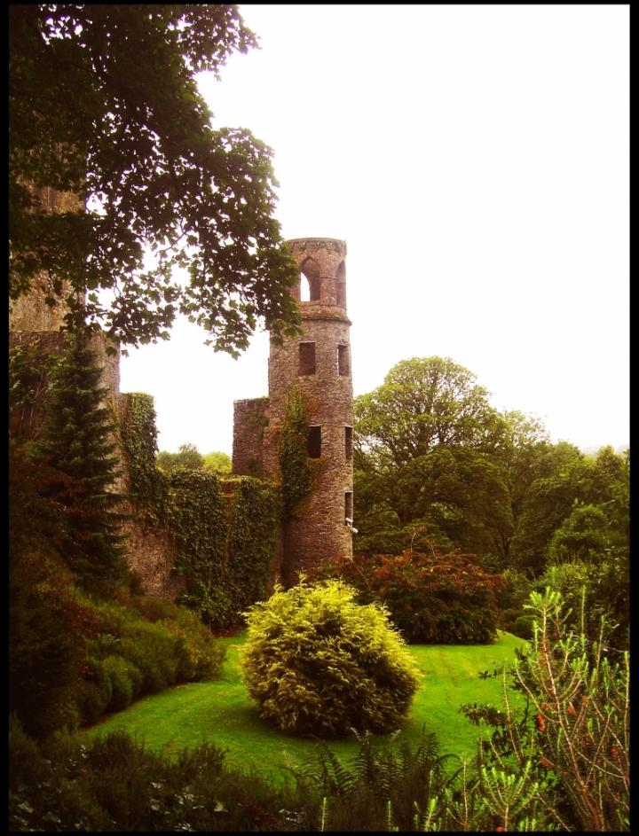 Blarney Castle  Ireland di wurlitzer_keys