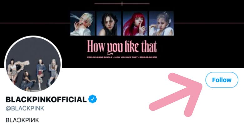 BLACKPINK Finally Bless Twitter With An Official Account... And BLINKs ...